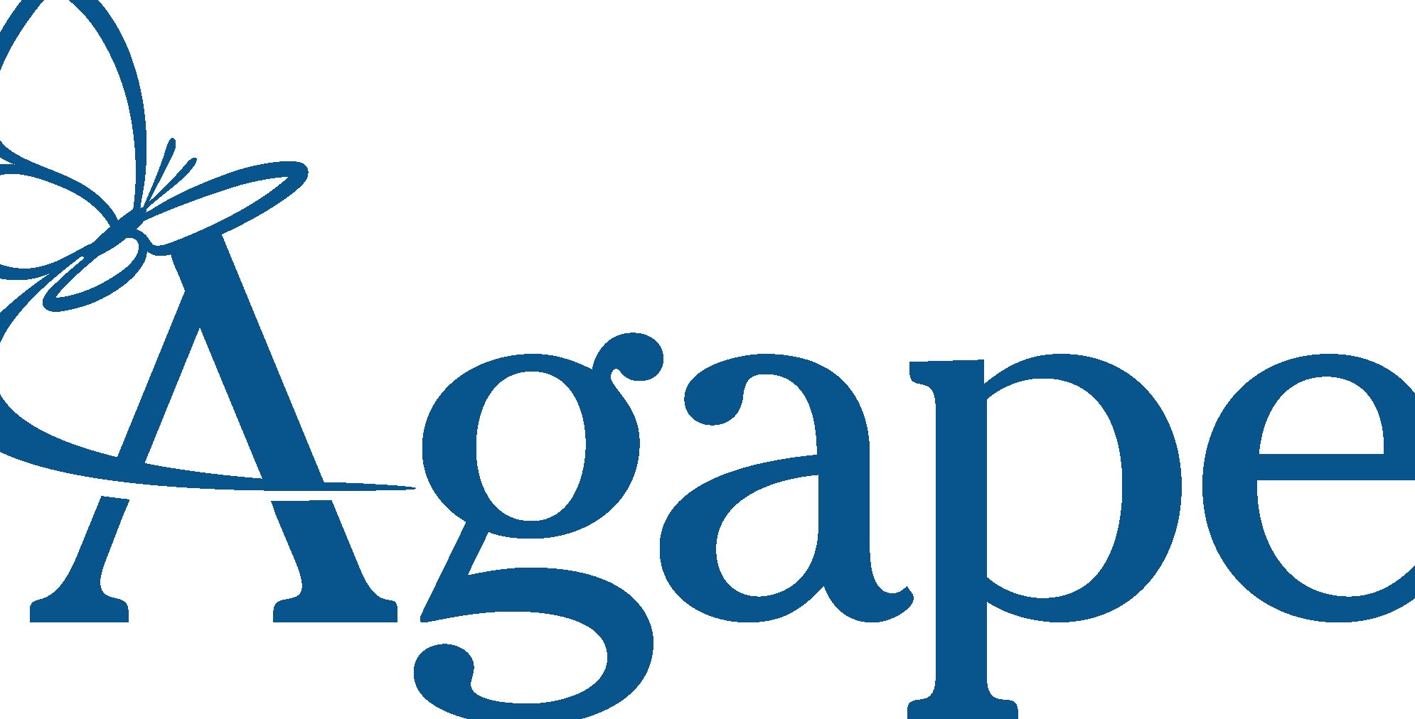 agape community centre