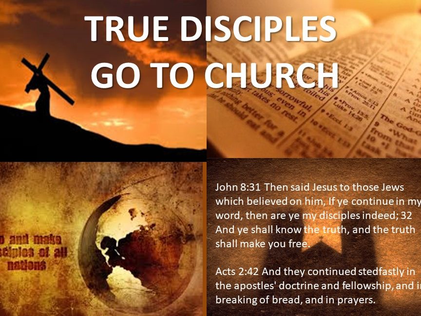 disciple truth church