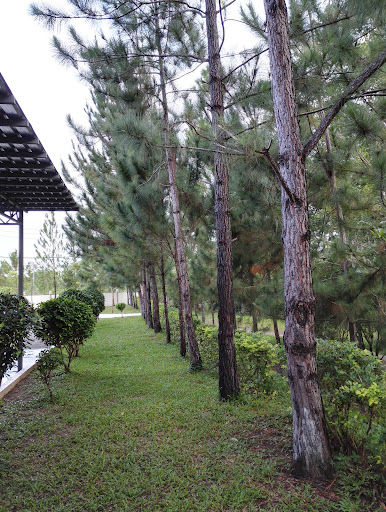 The Church Of God In Keningau