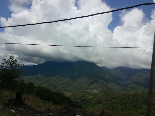 Gereja Katholik St. Theresa Avila