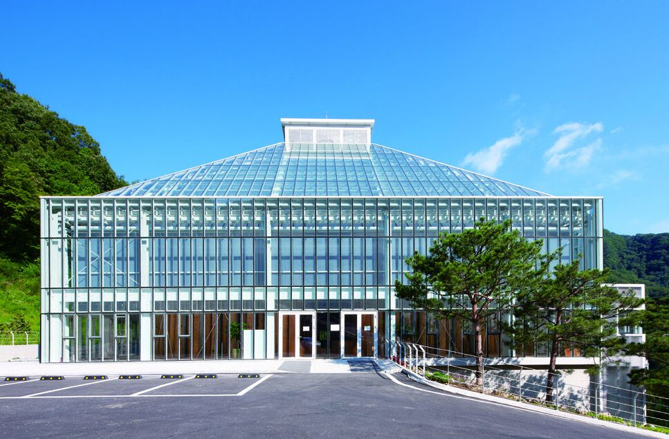 light of life church 1