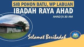 sib pohon batu